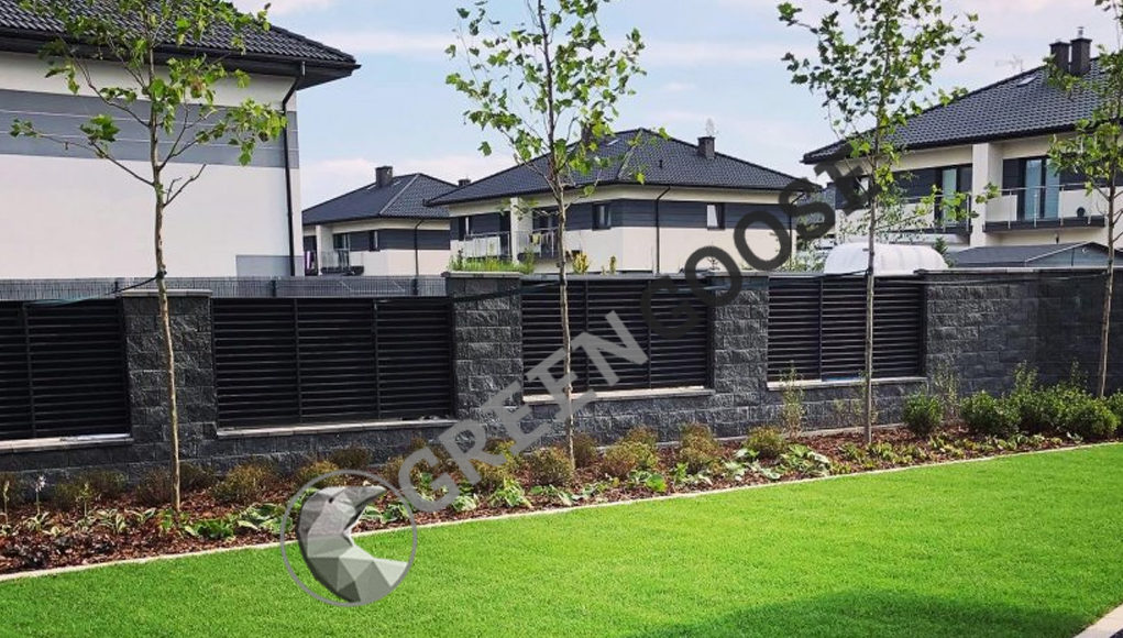 Рулонный газон и озеленение территории Рулонный газон и озеленение территории